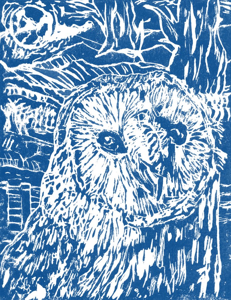web Karen Spate - Moonlight Owl