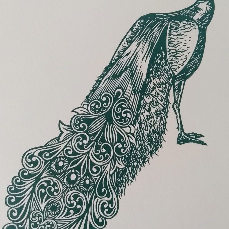 Peacock - teal