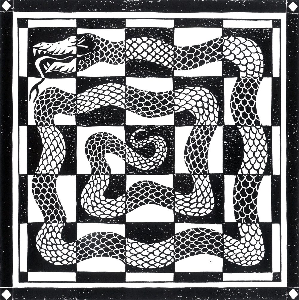web Doug Johnson - Checkered Snake