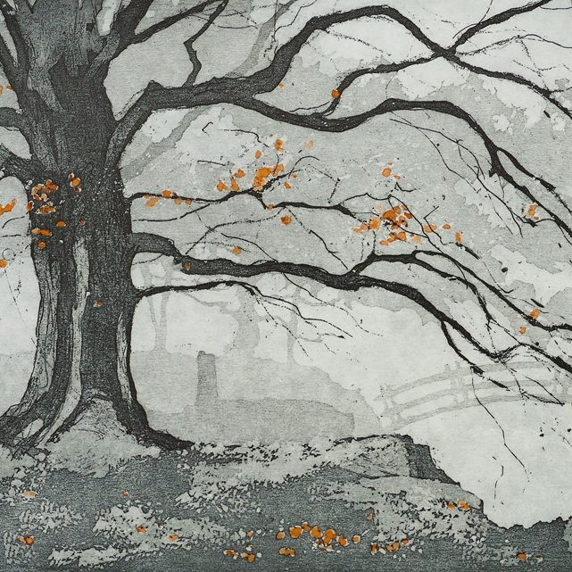 web Eva Juusola - The Guardian Tree, Padley Gorge